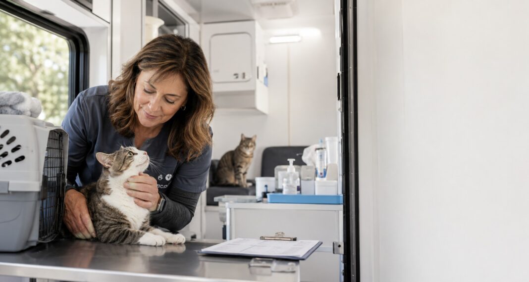 Donna Sicuranza Marconi Biography and Animal Welfare Career Donna Sicuranza Marconi caring for a cat inside a mobile veterinary clinic in Connecticut